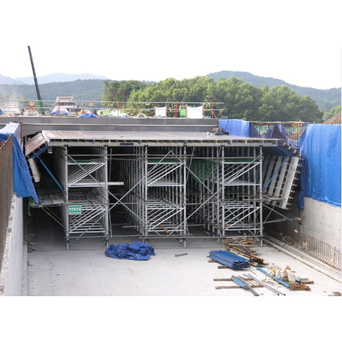 Tunnel Form Were Used In Korean Project